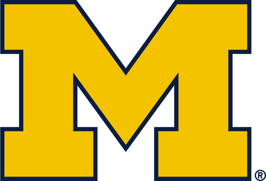 Michigan Wolverines 2016-Pres Alternate Logo t shirts iron on transfers